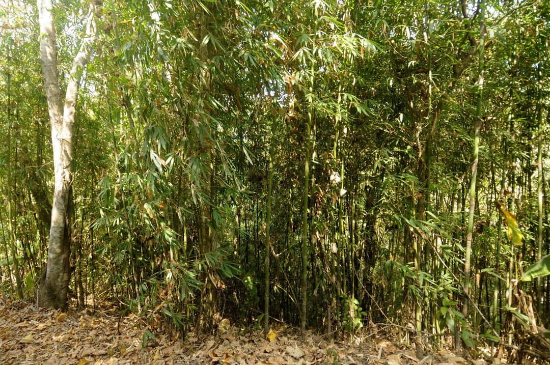 Full width image