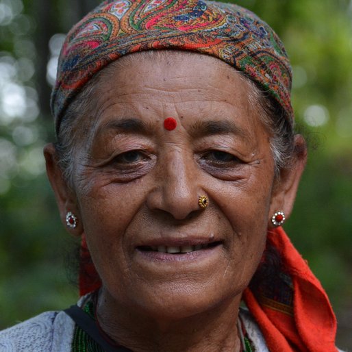 MEENA KUMARI is a Tea garden labourer from Icha Forest, Kalimpong II, Kalimpong, West Bengal