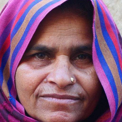 Bhateri is a Daily wage labourer from Teontha, Pundri, Kaithal, Haryana