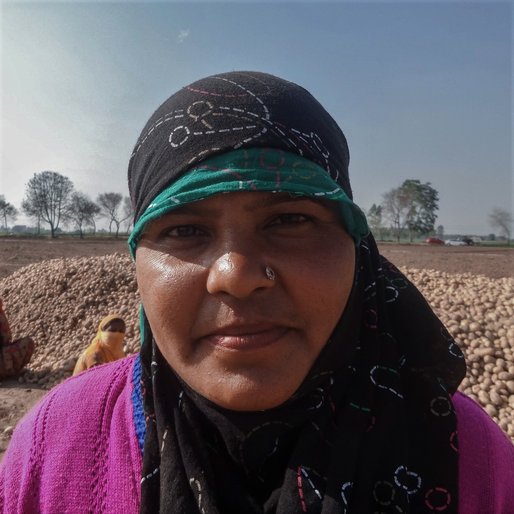 Laddi Devi is a Daily wage labourer and homemaker from Dhakala, Shahbad, Kurukshetra, Haryana