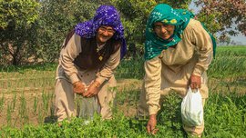 पेटवारच्या महिलाः शेतकरी आंदोलनाचा जीव