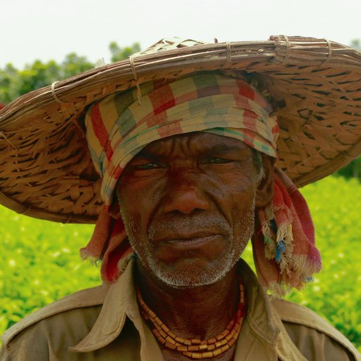 SHANTILAL BISWAS is a Farmer from Tatla, Krishnagar II, Nadia, West Bengal