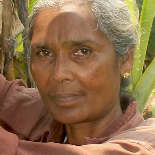 MARYKUTTY MOHANAN is a Plantain plantation worker from Karimkulam Chappath, Kattappana, Idukki, Kerala