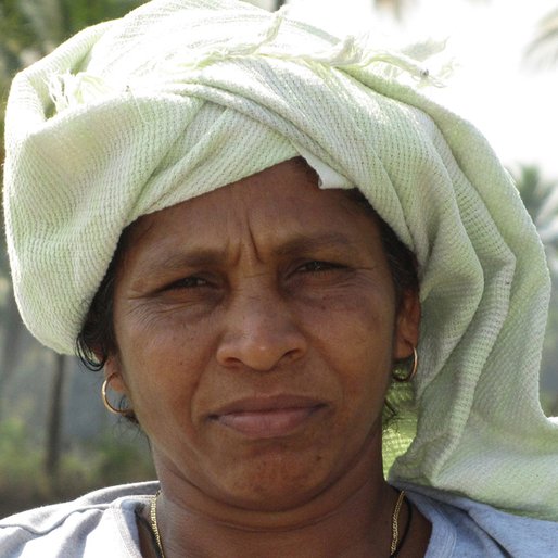 BELLA CARVALHO is a Small farmer (paddy) from Curtorim, Salcette, South Goa, Goa