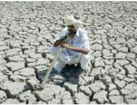 Drought hits 90 lakh farmers in Maharashtra