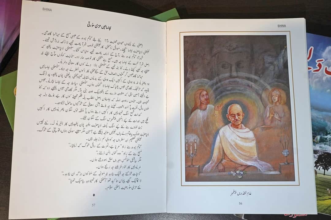 Image 2