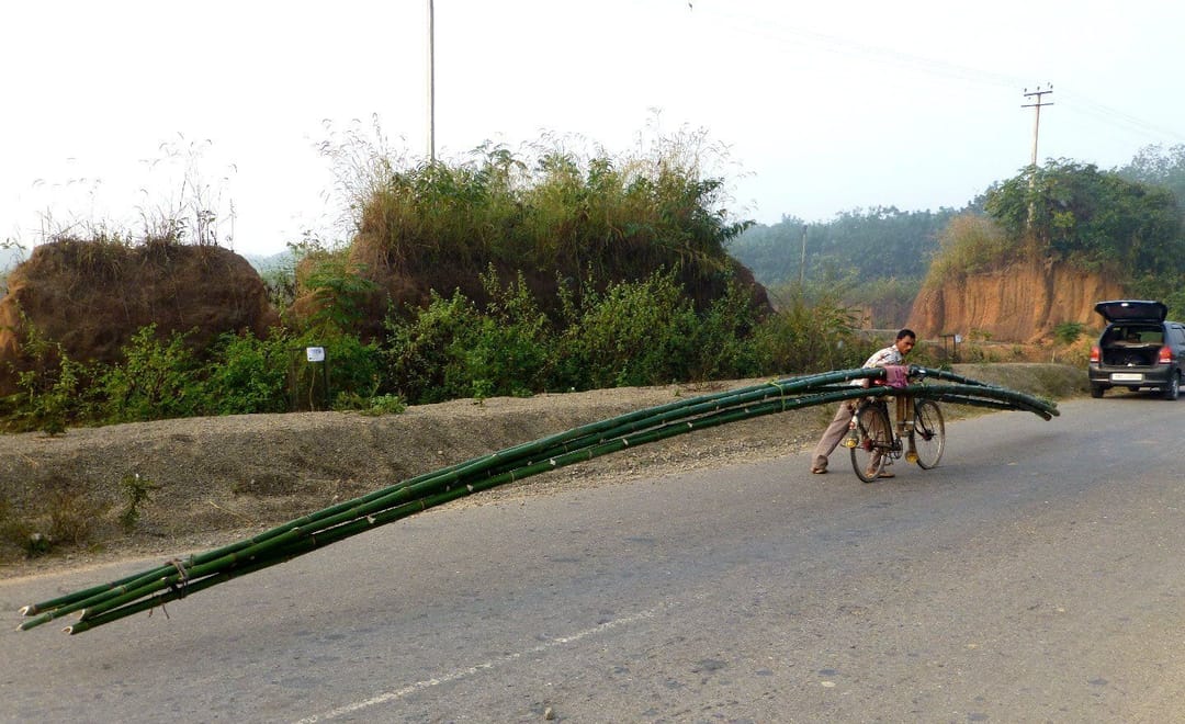 Biswas and the bamboos on his bike