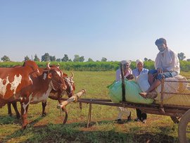 ‘અમારી ઉપજના ભાવ અમારા હાથોમાં નથી’