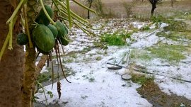 Hailstorms at 43°C wreck farming in Latur