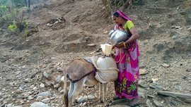डाली का अपने गधे के साथ पानी लाना