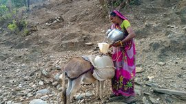 থিয় বাটত ডালিয়ে গাধৰে পানী কঢ়িয়ায়