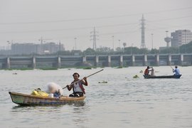 യമുനയിലെ ചത്ത മീനുകൾ പുത്തനാവുന്ന സമയം