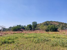 പാൽഘറിലെ ഒരു ഗ്രാമം ദേശീയപാതയുമായി പോരാടുന്നു