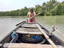 Hunting for crabs in the shadow of the Bengal tiger