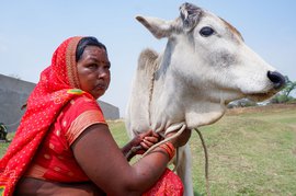 પલામુમાં: ‘ખેડૂતની કોને પડી છે?’