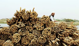 The bamboo-splitters of Dhubri