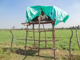 ‘हमारे लिए यह किसी सूखे से कम भयावह नहीं’