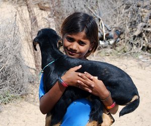 Little girl with a goat