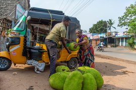 പാൻ‌രുട്ടിയിൽ ലക്ഷ്മി പണിത വീട്