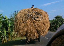 The great Indian straw trick