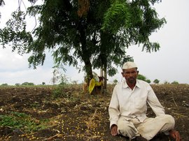 ଓସମାନାବାଦରେ ଆଖୁ ଚାଷୀଙ୍କ ଦୁଃଖ