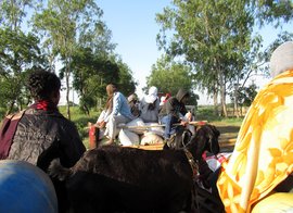 கரும்பு வெட்ட நெடுந்தொலைவு சாலைப்பயணம்