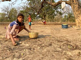 కరవుకాలంలో ఆదుకునే ఇప్పపూలు