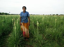 முள்ளும் மலரும் - சந்திரா சுப்பிரமணியன்