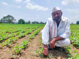 उस्मानाबादेत ‘फसल बीम्याची’ फसवणूक