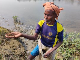 मुक्ती आणि मासे शोधत कांग्साबातीच्या किनारी