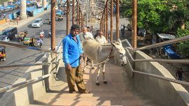 কাজল আৰু ৰাণীয়ে যেতিয়া ভিন্ন ছন্দৰে সঁহাৰি জনায়