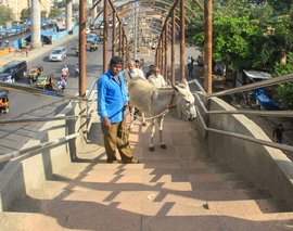 ಕಾಜೋಲ್‌ ಮತ್ತು ರಾಣಿ ಬೇರೆ ಕೆಲಸಕ್ಕೆ ಹೊರಟ ಕತೆ