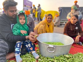 விவசாயிகளின் போராட்டத்தில் பட்டாணி உரிக்கும் ஹர்ஃபதே சிங்