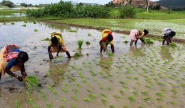 In Nadumudalaikulam, ‘work’ means women