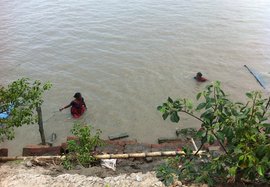 From river to plate: the journey of the Sundarbans tiger prawn