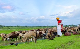 ‘থাকিবলৈ বুলি আমাৰ ঘৰ নাই’