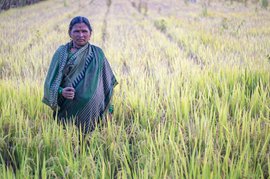 हरेक दिन पुर के डर मं बूड़त किसान अऊ बनिहार