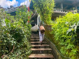 In Darjeeling: women porters carry the weight