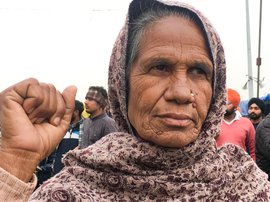 পাঞ্জাৱৰ কৃষিশ্ৰমিক: 'আমাক পোক-পৰুৱা বুলি ভাবে'