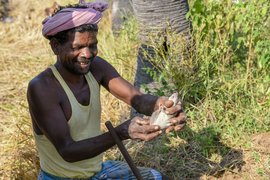 ইঁদুরের সঙ্গে এক ভিন্ন পথে বাঙ্গালামেডু জনপদে