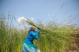 ‘कोराई के ये मैदान मेरा दूसरा घर हैं’