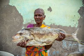 କରୁବାଡୁ: ସମୟ ସୁଅରେ ଶୁଖୁଆ କାରବାର