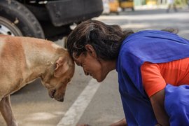 रिटा अक्कांचं आयुष्य कुत्र्या-मांजरांच्या तोंडी