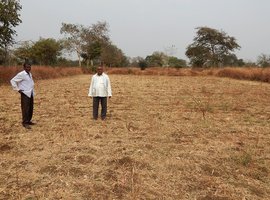 କଠୋର ସ୍ଥିତିରେ ଛତିଶଗଡ଼ ଚାଷୀ