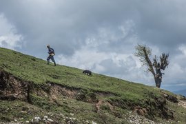 ‘सुख के दिन अब सुरता बन गे’