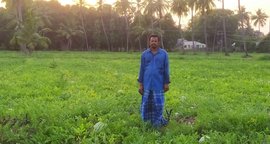 ‘ବର୍ତ୍ତମାନ ତରଭୁଜଗୁଡିକ ପଚିବାକୁ ଆରମ୍ଭ ହେଲାଣି’