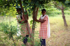 কৃষ্ণাগিরির খুদে সংসদের (অ)সাধারণ সভা