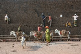 ‘கழுதைகள் உண்ணாவிட்டால், எங்களுக்கும் உணவு கிடையாது’