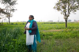 লড়াই শেষে পঞ্জাবের মহিলাদের ঠাঁই জুটেছে ফুটনোটে