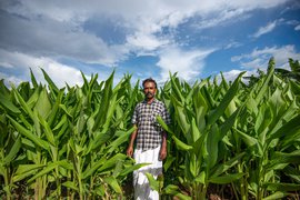 ತಮಿಳುನಾಡು: ತಿರು ಮೂರ್ತಿಯ ಅರಿಶಿನ ವಿಜಯದ ಕತೆ